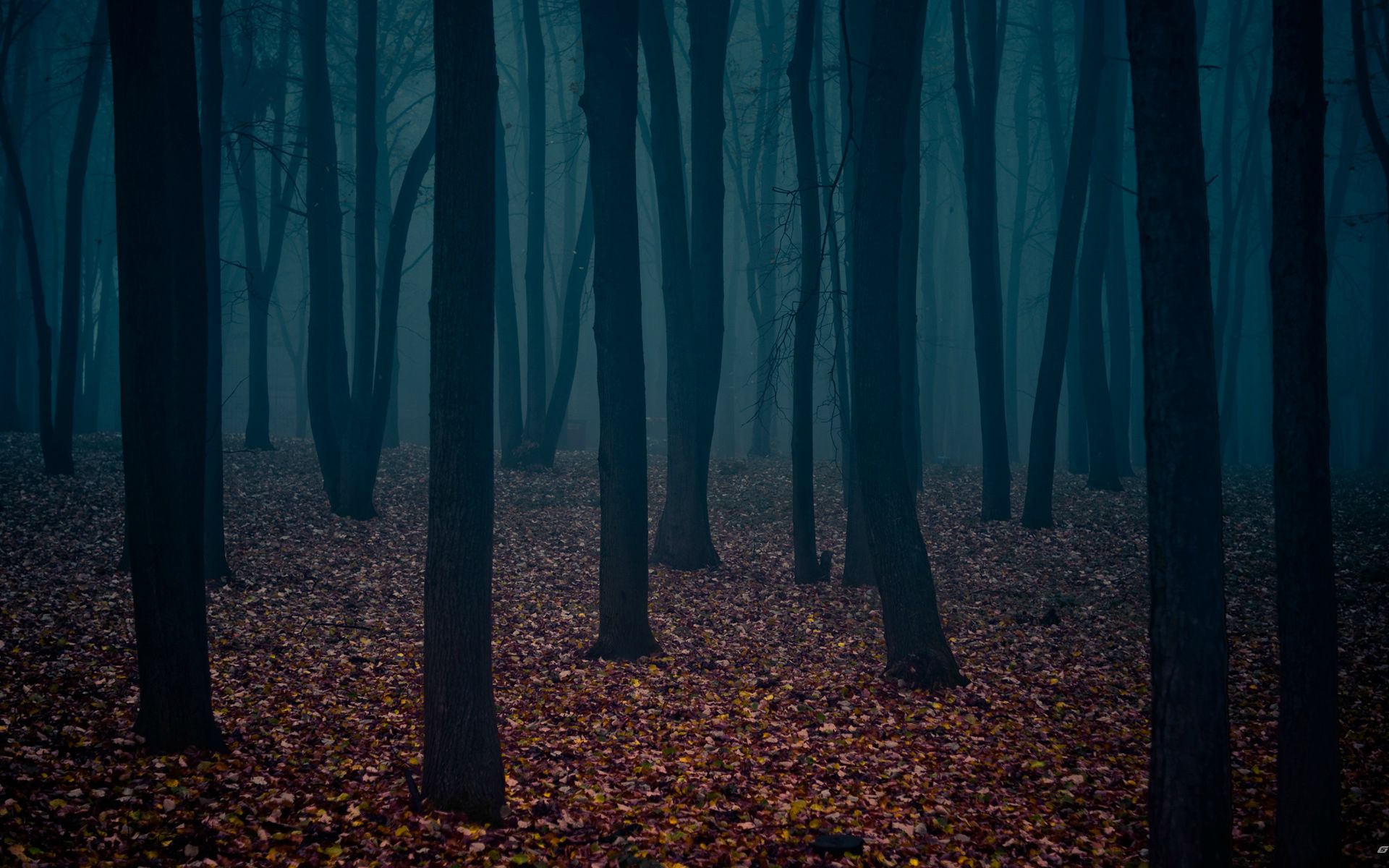 1920 x 1080 HD Wallpapers 1284